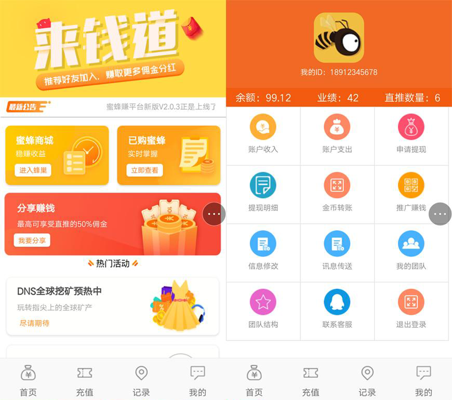 國民網路養蜂投資平台模板截圖