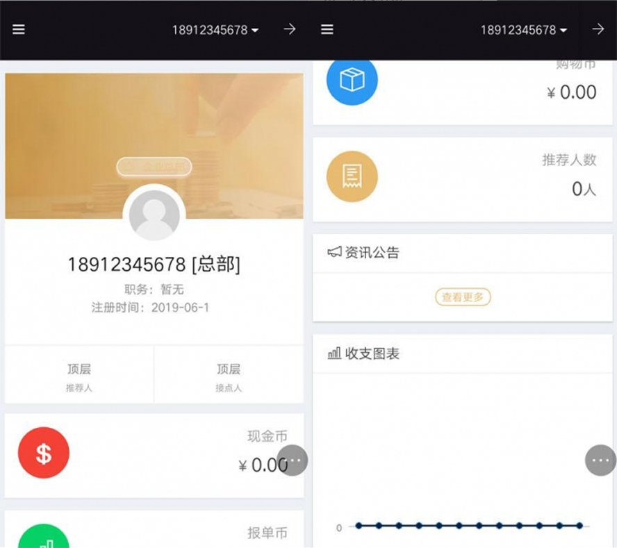 雙軌靜態分紅直推對碰重複消費帶商城模板截圖