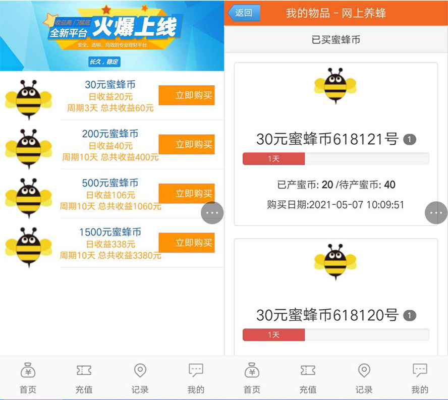 國民網路養蜂投資平台模板截圖