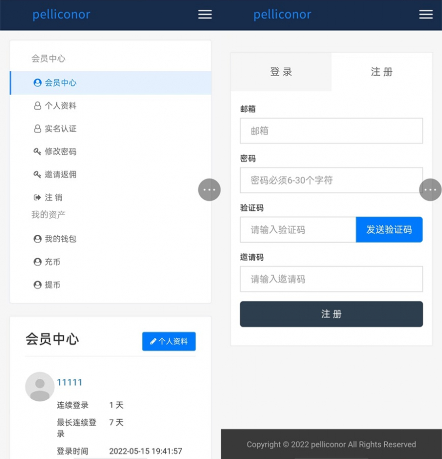中文英文區塊鏈USDT虛擬幣投資理財模板截圖